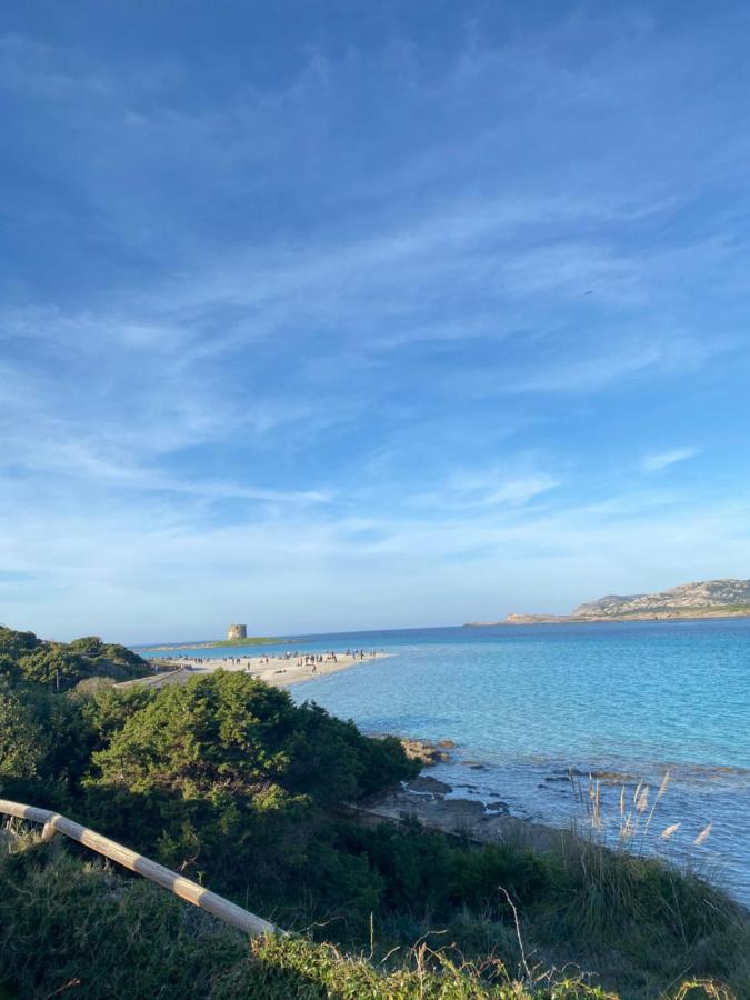 Coral Dream Appartement Alghero Buitenkant foto